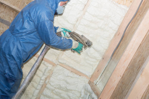 Best Crawl Space Insulation  in Wallace, NC