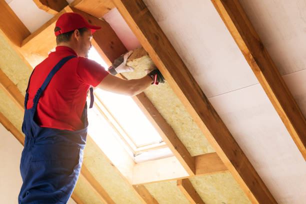 Best Commercial Insulation Services  in Wallace, NC